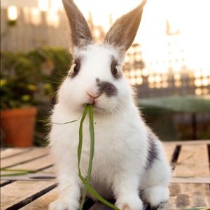 Meet your Posher, Thu